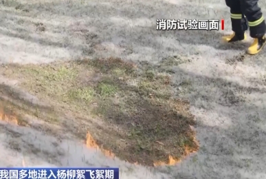 我國(guó)多地進(jìn)入楊柳絮飛絮期 消防試驗(yàn)：飛絮瞬間點(diǎn)燃 持續(xù)燃燒