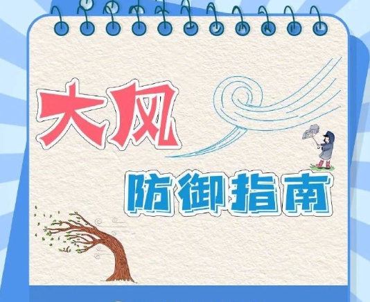 轉(zhuǎn)發(fā)收藏！大風天氣防御指南來了