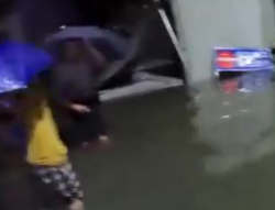 【共同關(guān)注】浙江寧波：強降雨致多地發(fā)生險情 消防緊急救人排險